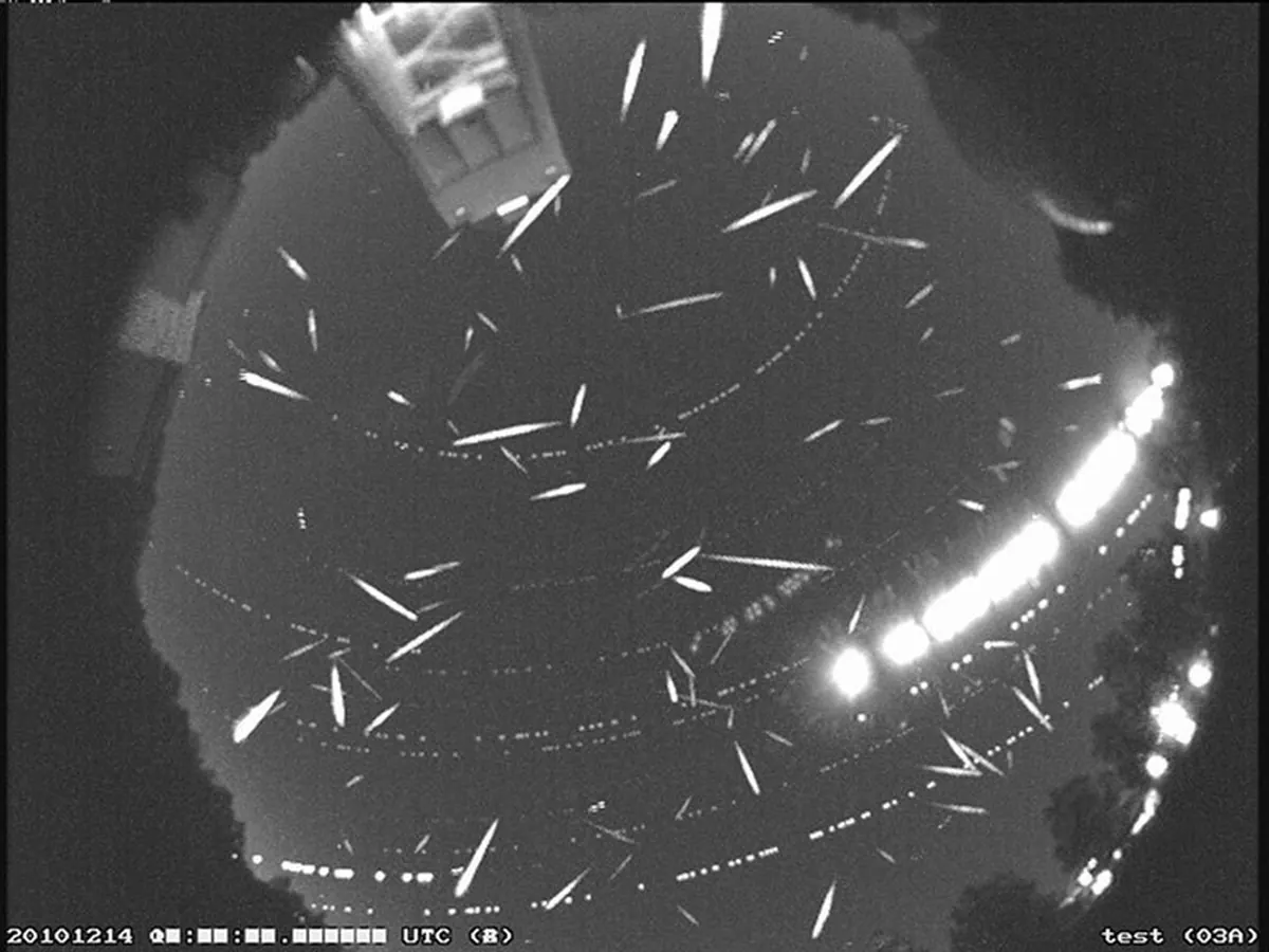 A fisheye all-sky camera view crossed by more than a hundred white meteor streaks
