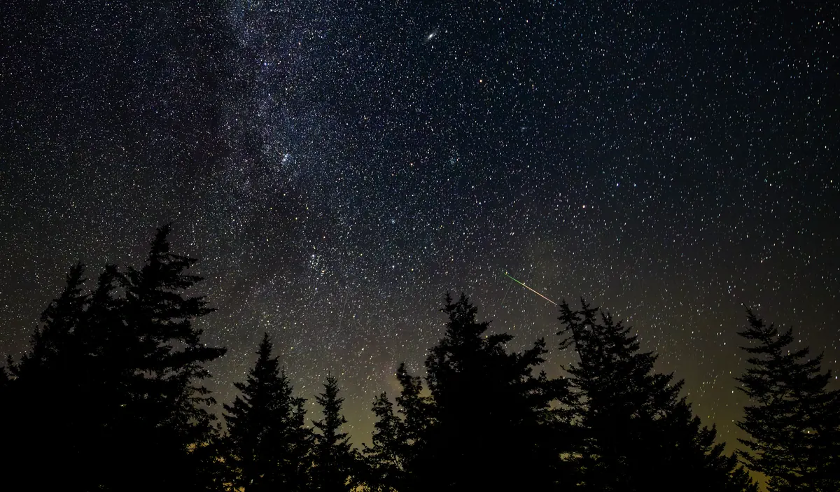 A pale meteor streak across a starry sky above dark pine trees