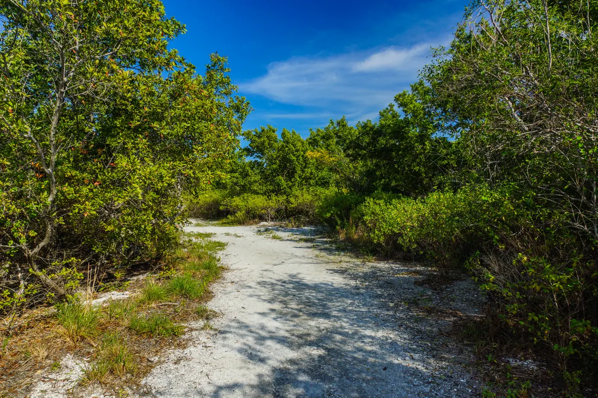 A view in Biscayne National Park