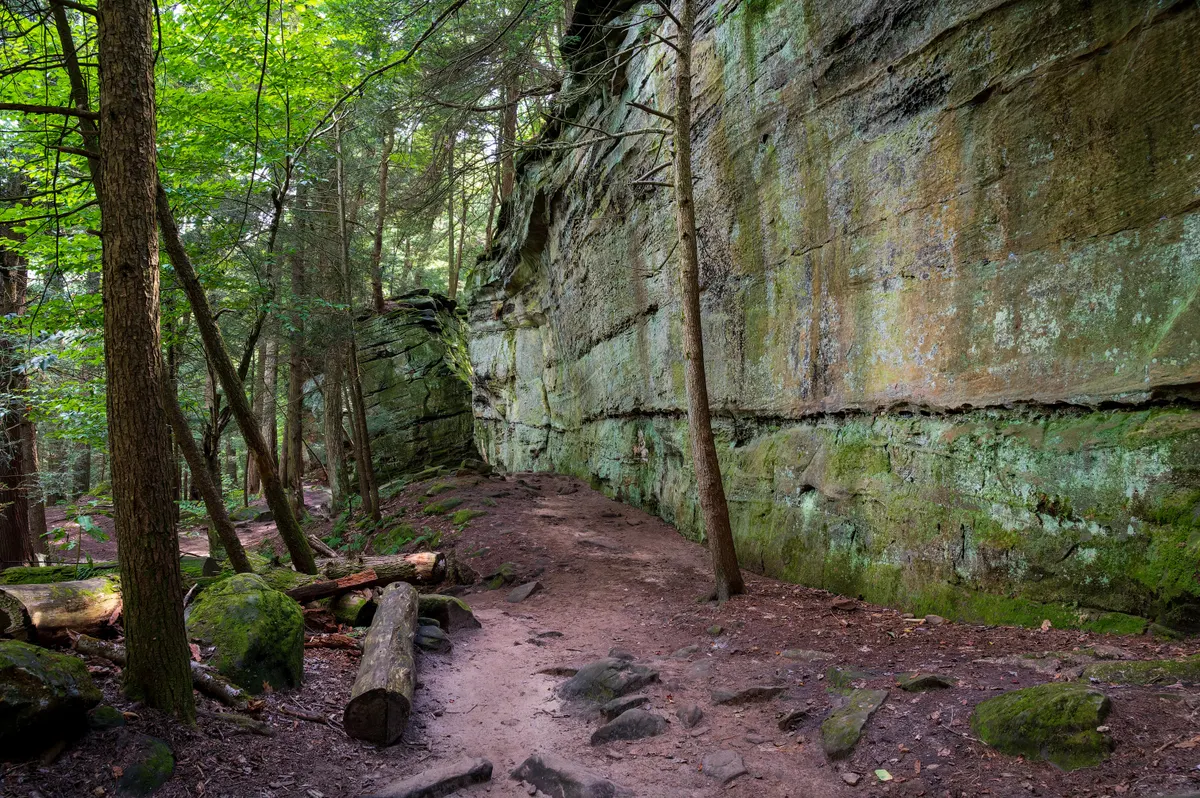 A view in Cuyahoga Valley National Park