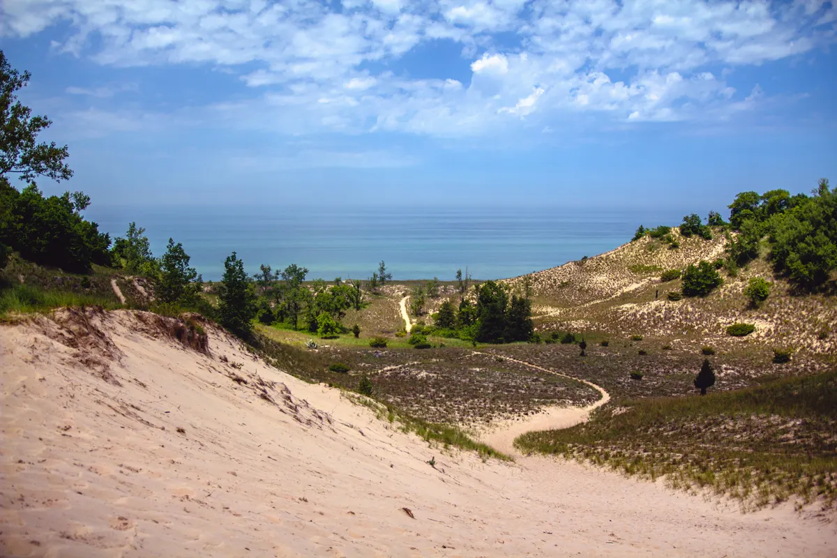 A view in Indiana Dunes National Park