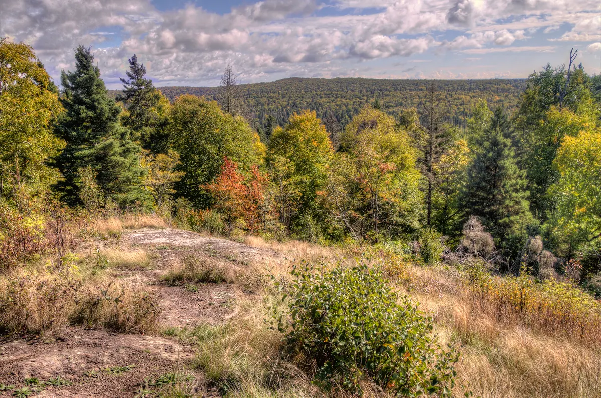 A view in Isle Royale National Park