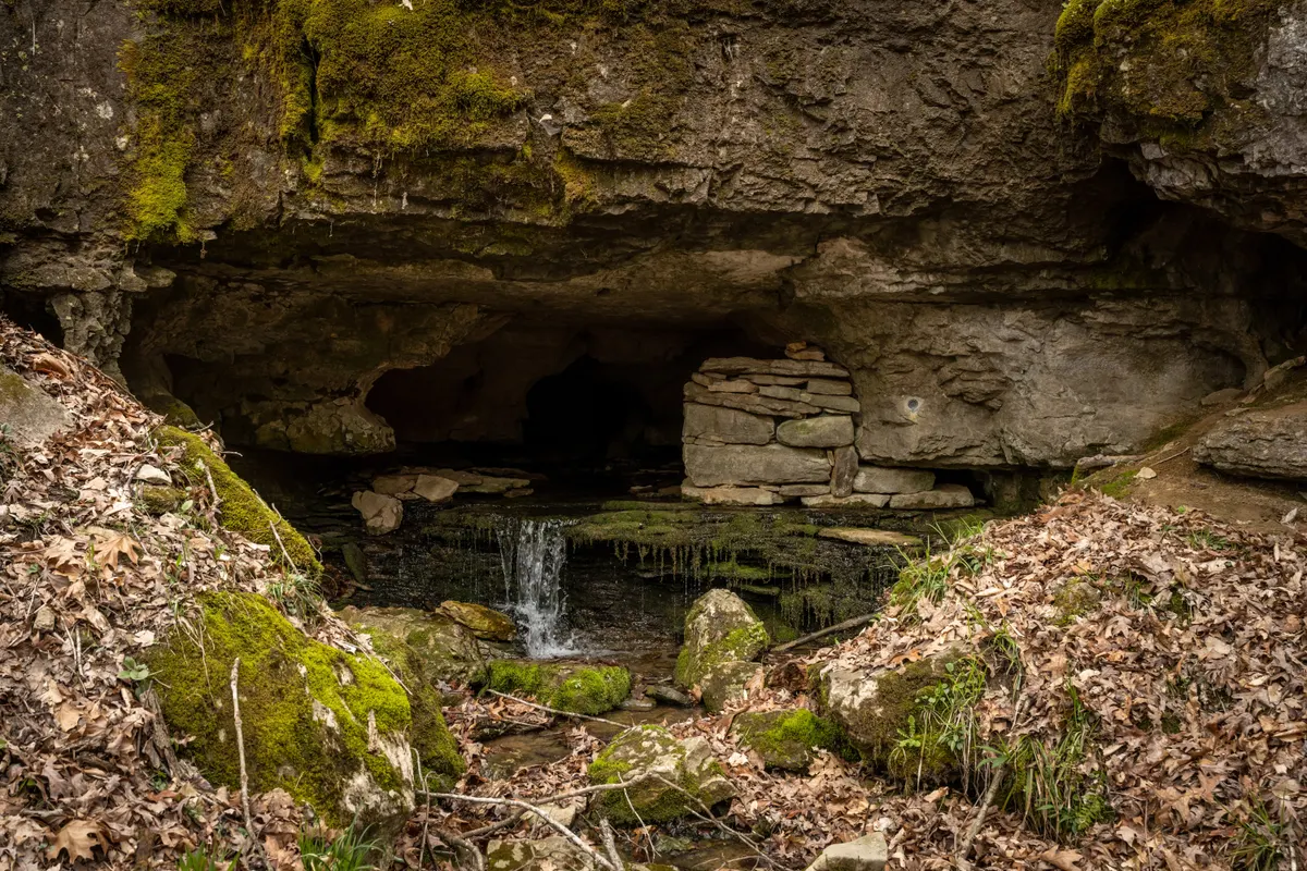 A view in Mammoth Cave National Park
