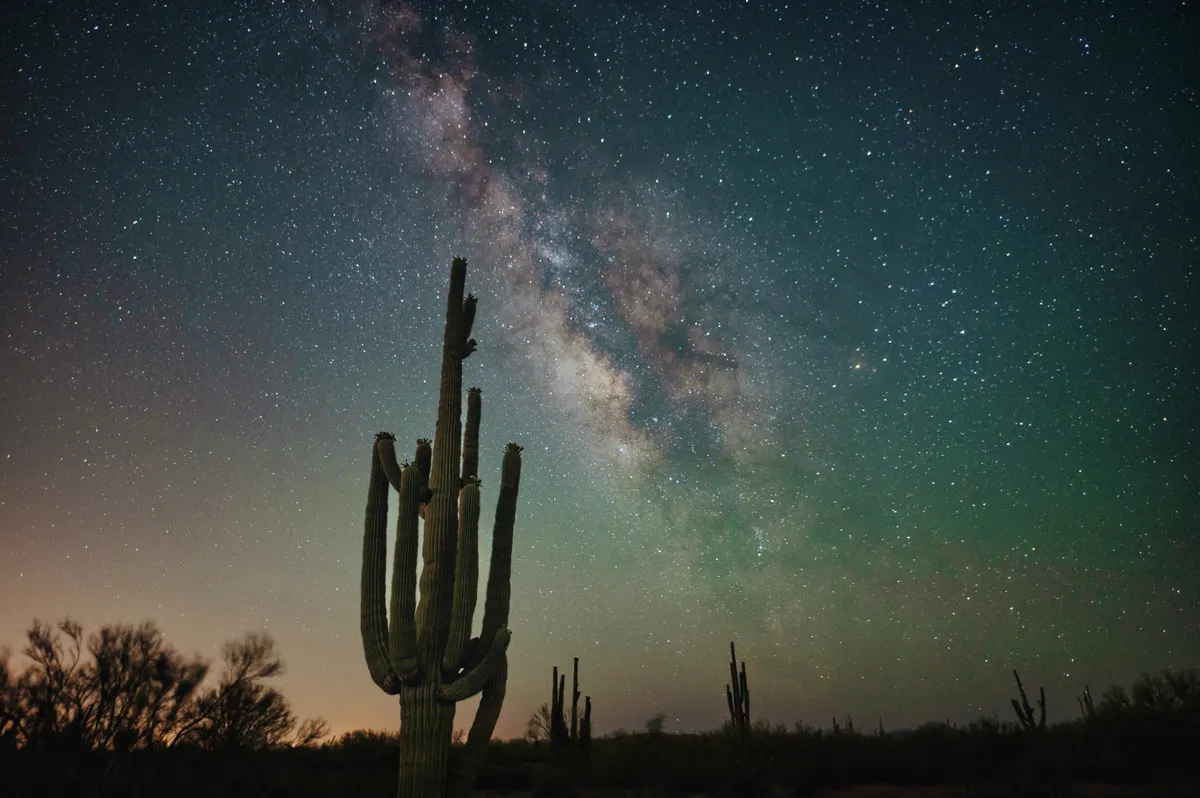 The Milky Way above Saguaro National Park